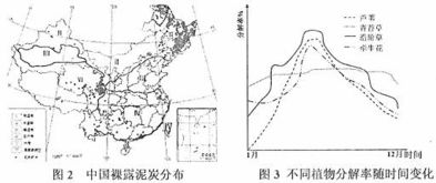 服务外包的趋势与效益分析